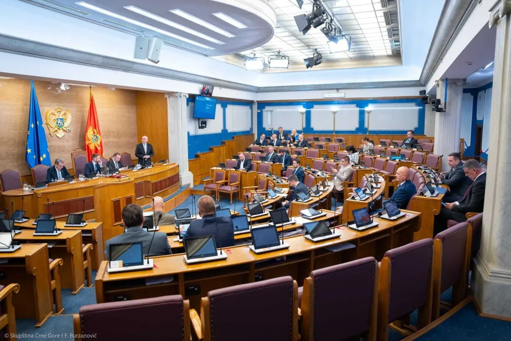 Sagovornici "Dana": Vanredni izbori trenutno nisu dobro rje&scaron;enje