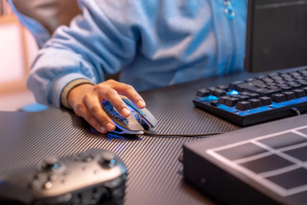Civilni sektor traži odgovornost i za&scaron;titu privatnosti u slučaju te&scaron;kog digitalnog nasilja