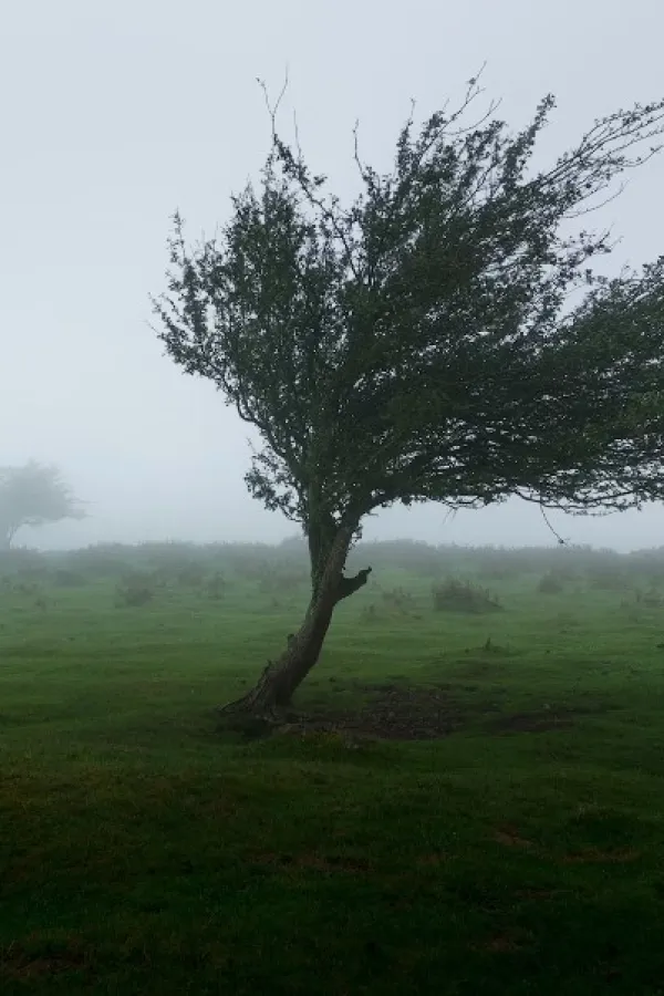 Narandžasti meteoalarm zbog najavljenog olujnog vjetra