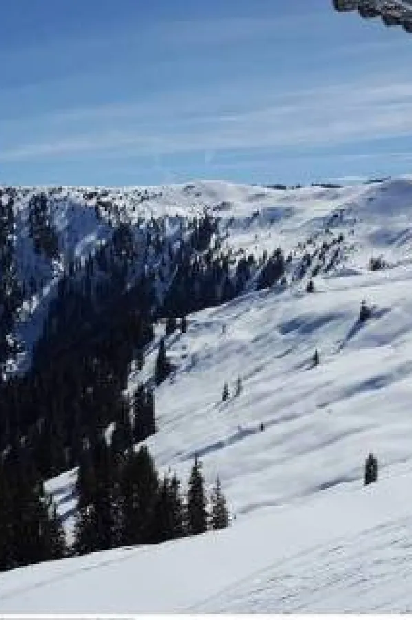 Skija&scaron; preminuo nakon sudara sa tinejdžerom na stazi u Austriji