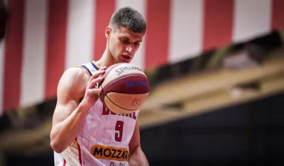 Pavle Nikolić