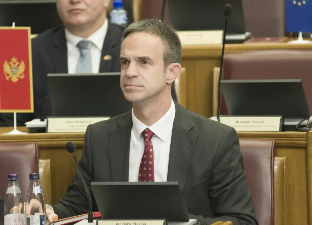 Mugo&scaron;a: Crnogorskoj ekonomiji nasu&scaron;no potrebna ozbiljna strategija razvoja