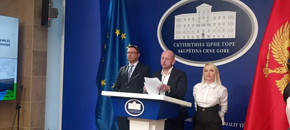 DNP predao predlog Skup&scaron;tini - trobojka da bude "narodna i istorijska" zastava