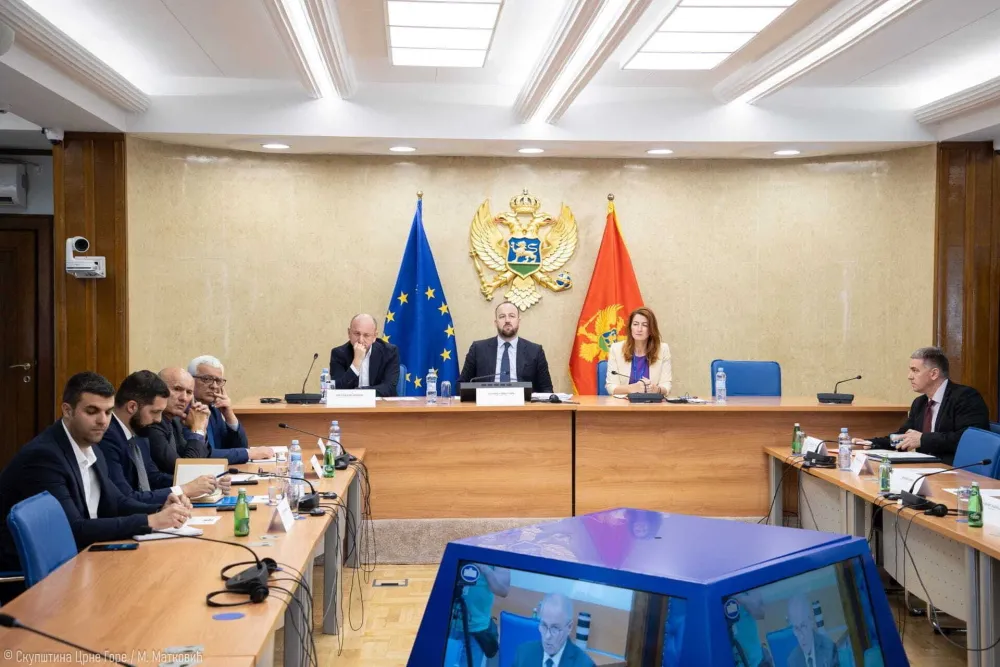 Knežević podnio ostavku na funkciju zamjenika predsjednika Anketnog obora