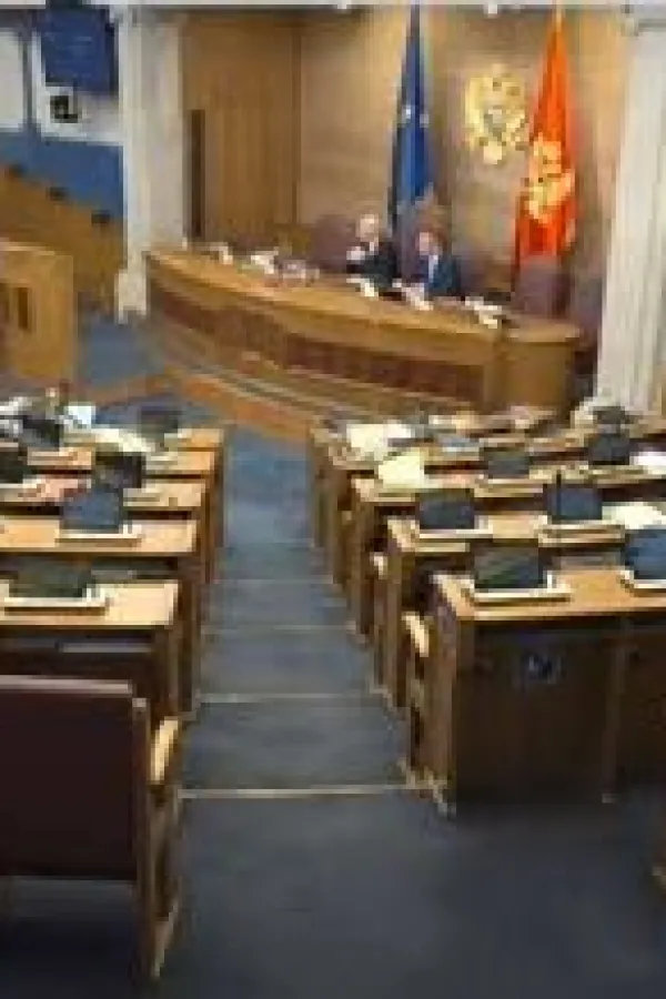 NVO: Predloge spornih zakona skinuti sa dnevnog reda Skup&scaron;tine do dobijanja mi&scaron;ljenja EK