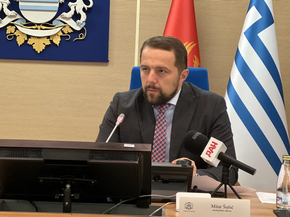 &Scaron;u&scaron;ić: Nećemo podržati smjenu ni Mujovića ni kadrova DNP-a