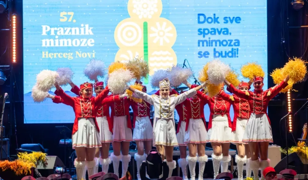 Otvoren praznik mimoze