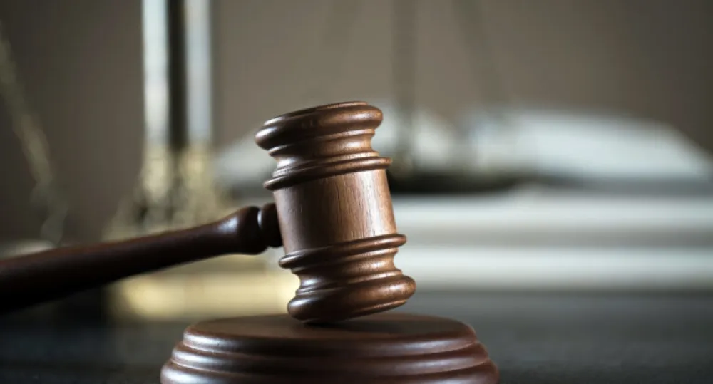 Nik&scaron;ićaninu 20 godina za silovanje i obljubu devetogodi&scaron;njeg djeteta