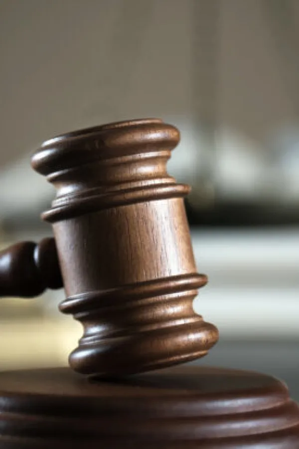 Nik&scaron;ićaninu 20 godina za silovanje i obljubu devetogodi&scaron;njeg djeteta