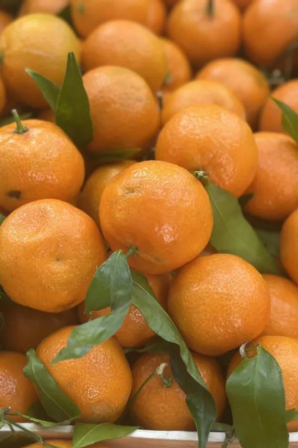 Mandarine do 2,50 eura