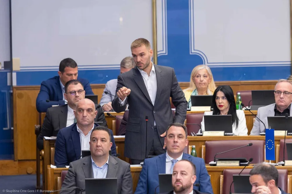 DPS: Predlog Vlade nerazuman, predložićemo produžetak roditeljskog odsustva