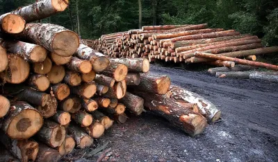 Bijelo Polje: Procesuiran osumnjičeni za &scaron;umsku krađu