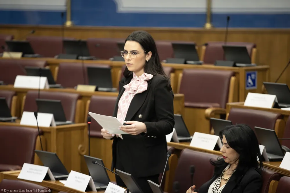 Popović: Nalogodavac predstave ispred Prve banke je Boris Bogdanović