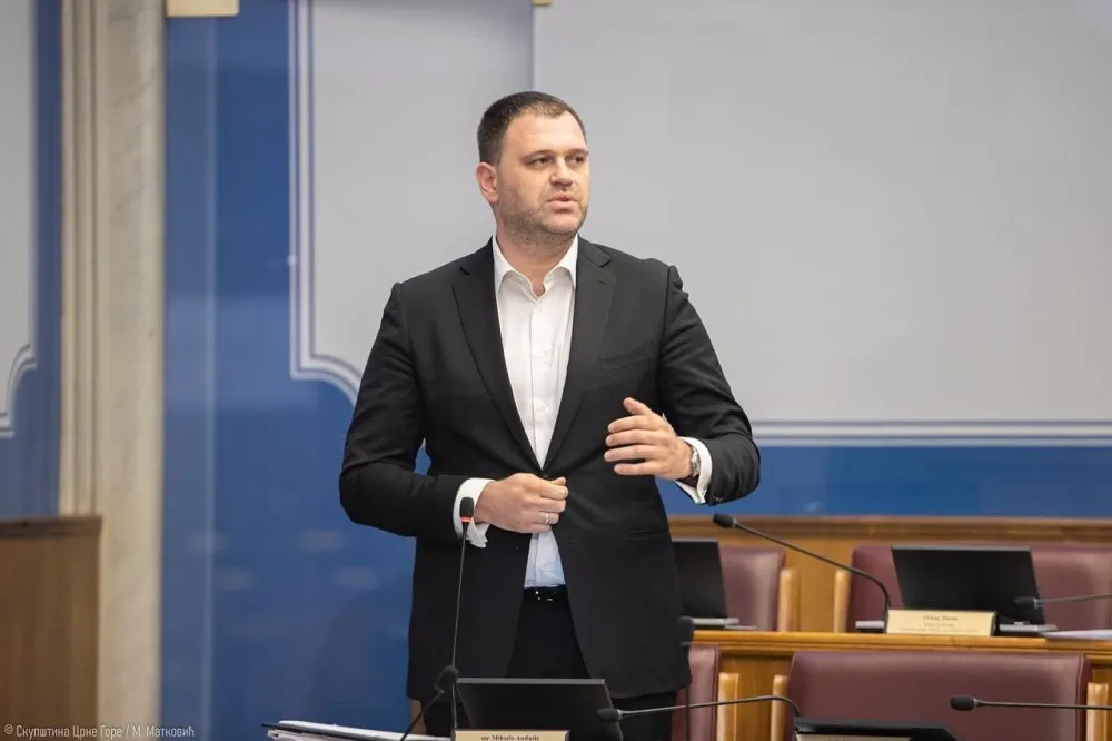 Anđu&scaron;ić: Vlast poku&scaron;ava da usvoji zakone na brzinu i bez rasprave