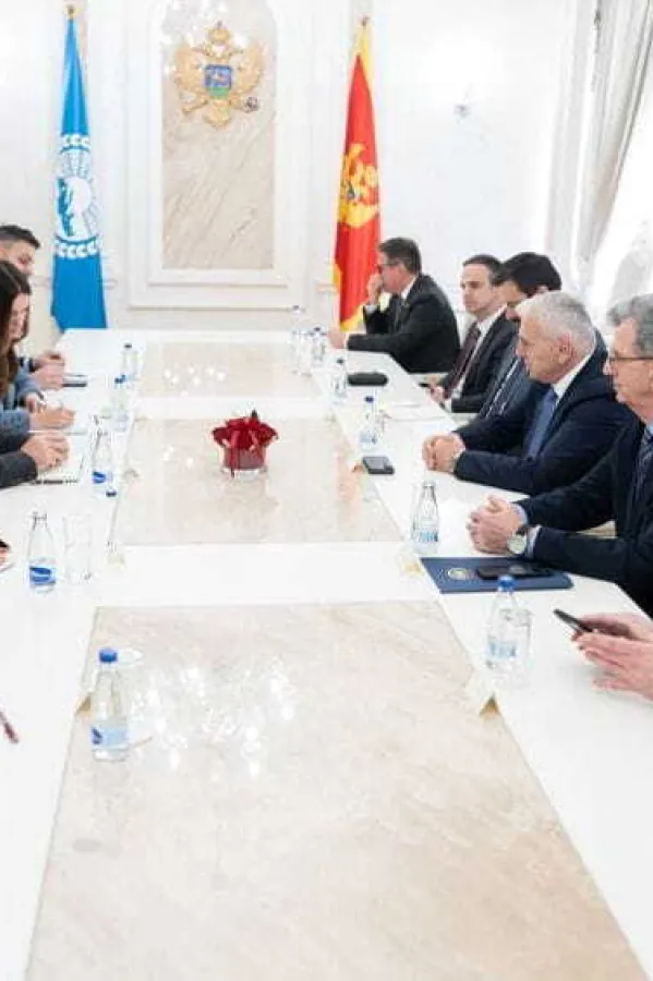 Parlamentarna skup&scaron;tina Mediterana vidi članstvo Crne Gore u EU kao važan doprinos stabilnosti i koheziji