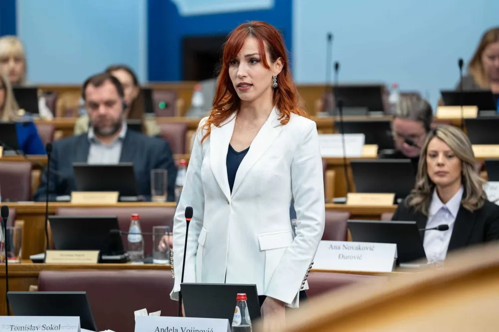 Vojinović: Ako zakon važi za sve, onda mora važiti i za "prvu familiju"