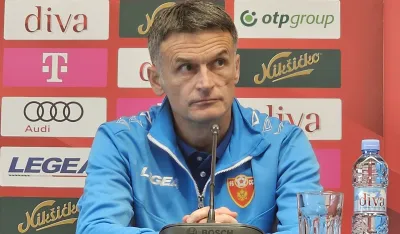 Mirko Marić