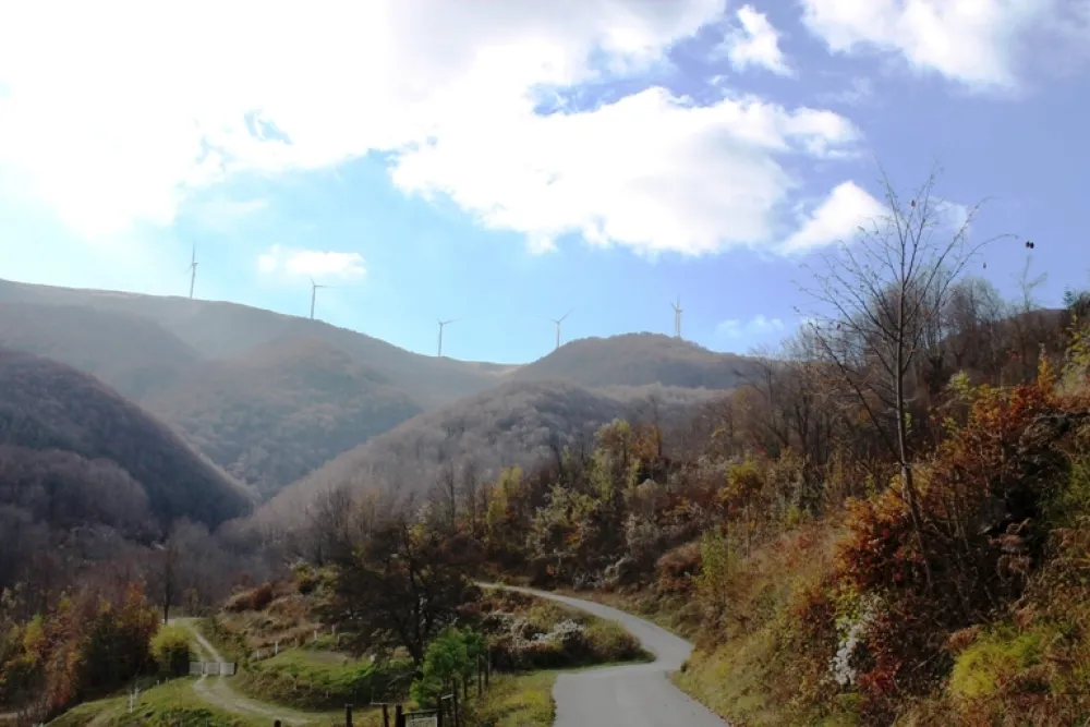 Krivične prijave SDT-u zbog vjetroparka "Bijela"