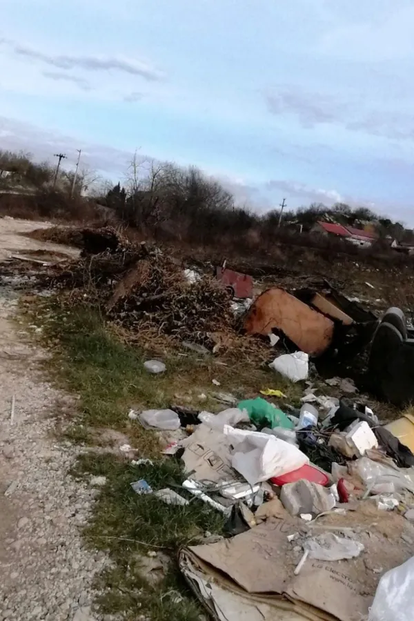Grabovik ogledalo ljudske nebrige