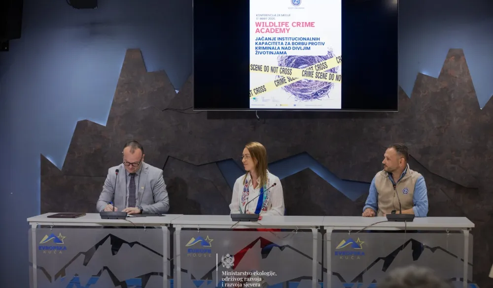 Ćulafić: Dugoročni cilj je smanjenje ilegalnog ubijanja i trgovine pticama za najmanje 50 odsto do 2030.