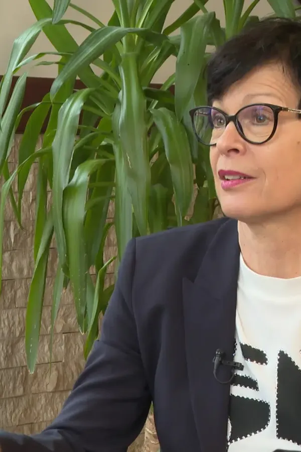 Kos: Tenzije koje vidimo iz Brisela nijesu dobre, neophodna saradnja vlasti i opozicije