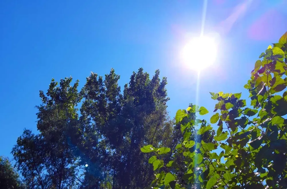 (VIDEO) Sjutra sunčano, do 21 stepen