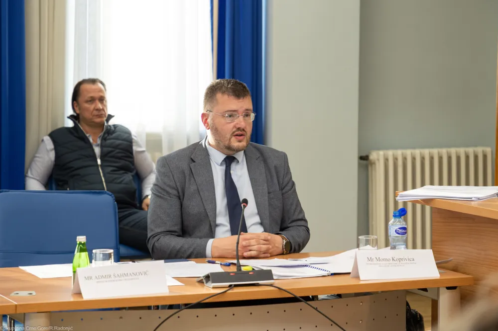 Nije problem "Možura", nego ko se u nju ugradio