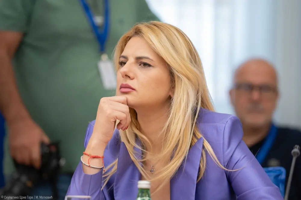Nedović: Kad si privatni medij, ne može&scaron; mi reći da radi&scaron; za državu i u ime istine