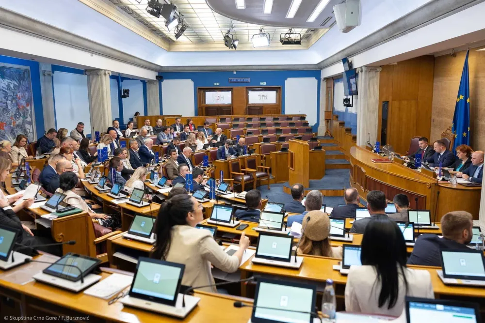 Građani finansiraju političke partije: Milione tro&scaron;e, za novac ne brinu