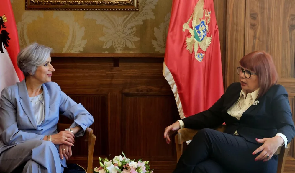 Pavličić i &Scaron;porer