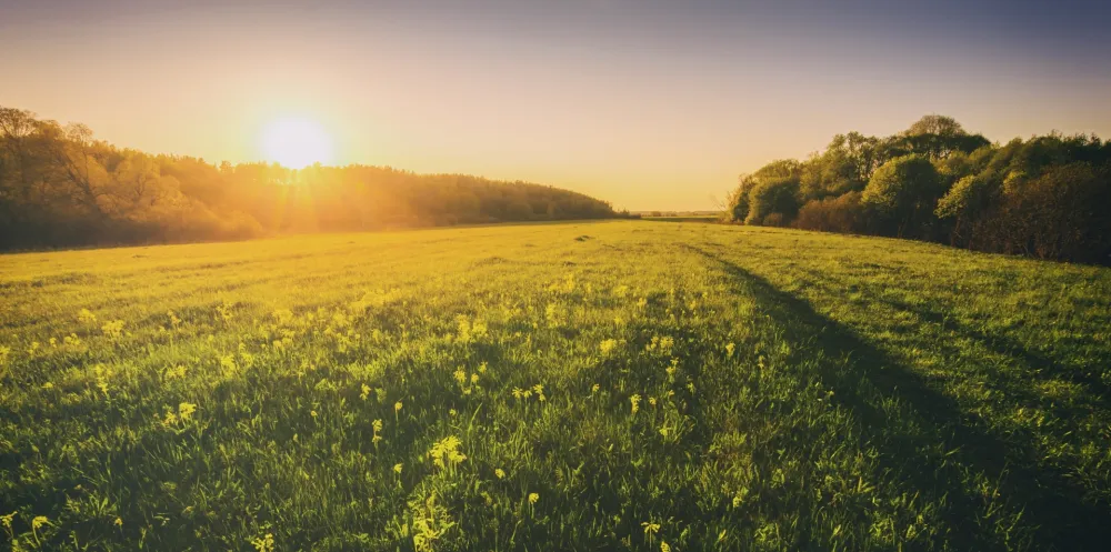 (VIDEO) Sjutra pretežno sunčano, temperatura do 27 stepeni