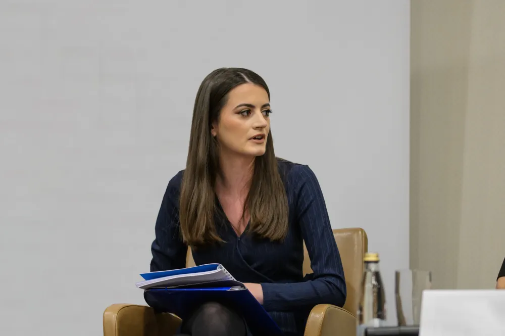 Vesković za "Dan": Krnja reforma može usporiti put ka EU