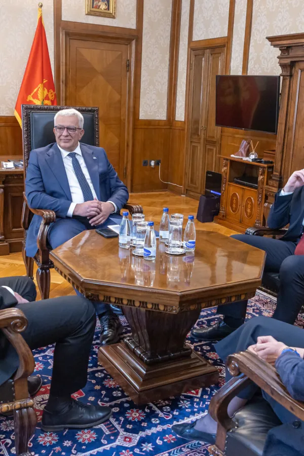 Mandić: Crna Gora posebno cijeni podr&scaron;ku Republike Slovenije