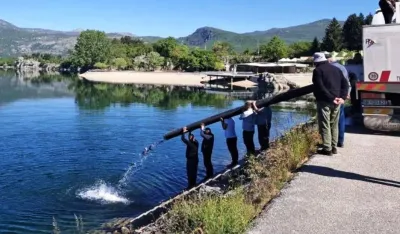 U nikšićka jezera ubačene dvije i po tone ribe