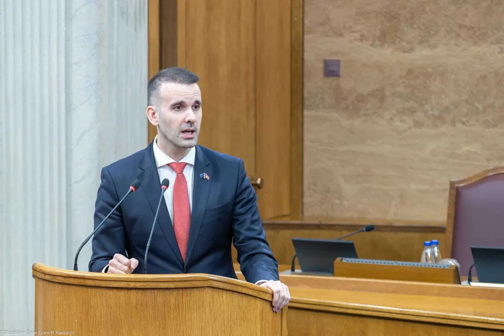 Spajić pred poslanicima 2. juna