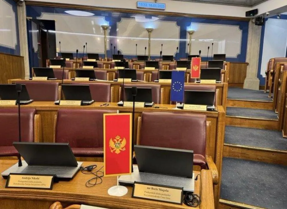 Perić za &bdquo;Dan&rdquo;: Partijski interesi preči od EU agende