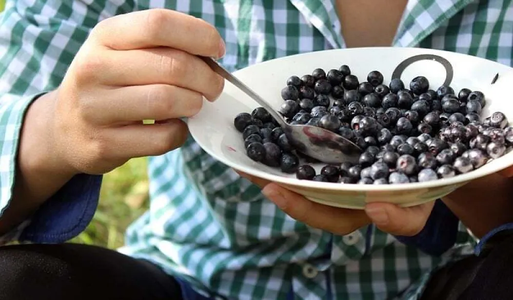 Ove namirnice mogu uticati na proizvodnju kolagena i doprinose ljep&scaron;em izgledu va&scaron;e kože