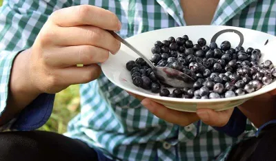 Ove namirnice mogu uticati na proizvodnju kolagena i doprinose ljep&scaron;em izgledu va&scaron;e kože