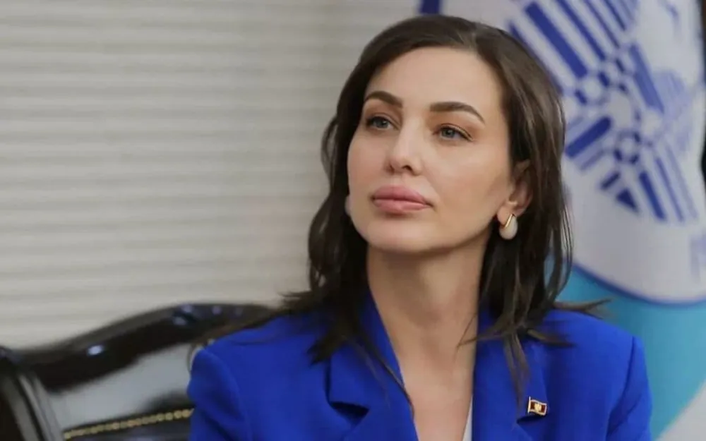 Crna Gora za stolom gdje se oblikuje demokratija