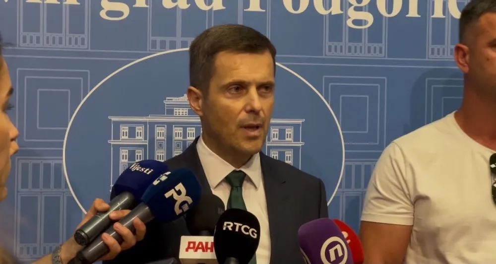 Sa&scaron;a Mujović