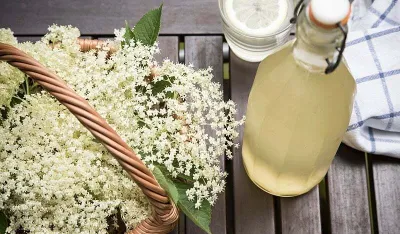 Recept za domaći sok od zove