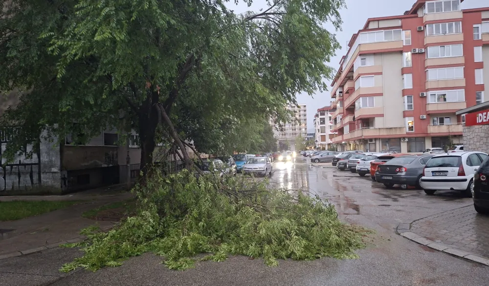 Jak vjetar u Nik&scaron;iću obarao stabla: O&scaron;tećena vozila i obustavljen saobraćaj