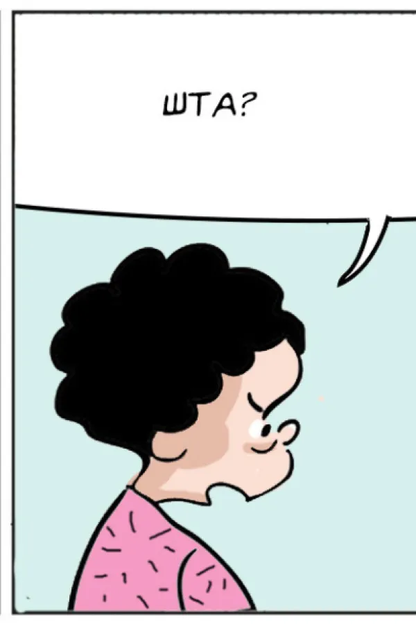 Mirko Zulić Strip Dana