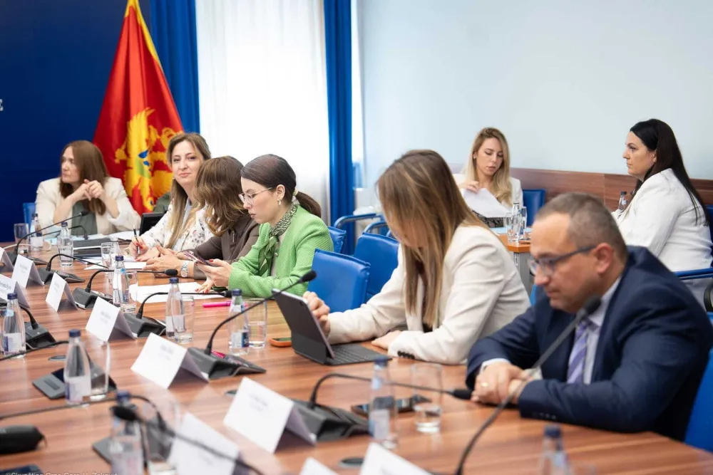 poslanici vlasti na odboru za rad i socijalno staranje