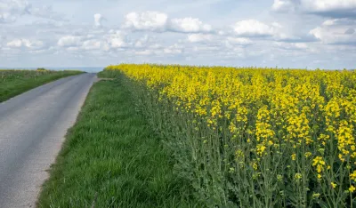 Sjutra ujutru umjereno oblačno, tokom dana razvedravanje